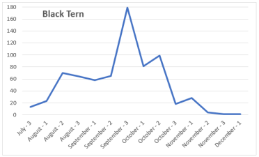 BlackTern_2017_chart