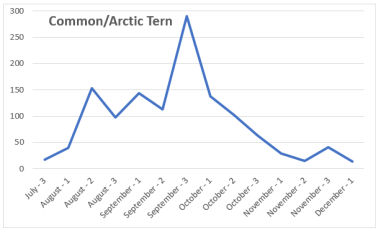 Common-ArcticTern_2017_chart