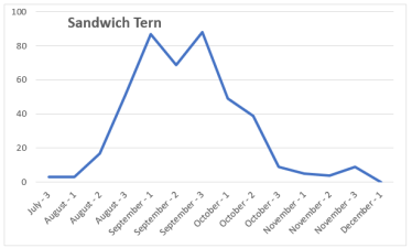 SandwichTern_2017_chart