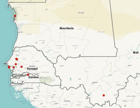 CinereousVulture_Map_WestAfrica