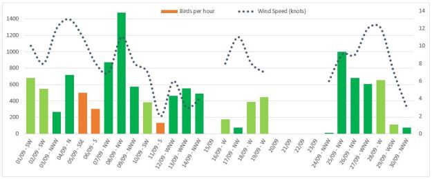BPH-Wind_Chart_September2019.JPG